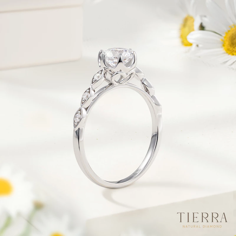 Nhẫn cầu hôn bạch kim kim cương Solitaire Little Love NCH1014